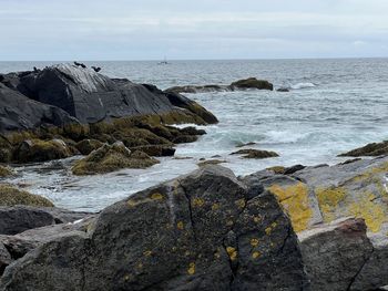 sea