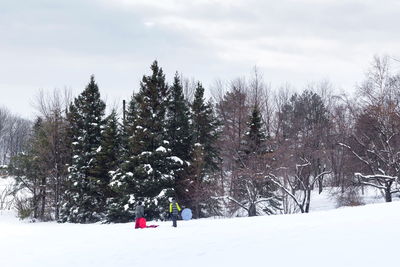 Trees on snow covered field against sky