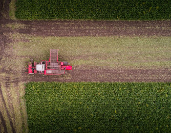 View of agricultural field