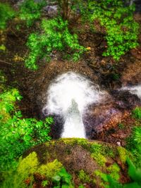 River flowing through rocks