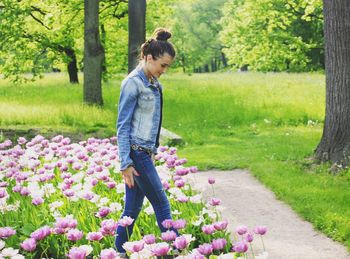 Side view of young woman walking amidst pink tulips at park