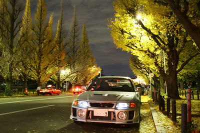 Cars on road by trees in city at night