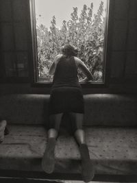 Rear view of man standing in park