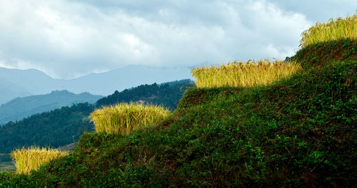 Scenic view of mountains against sky