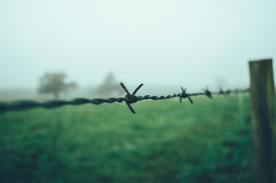 Close-up of barbed wire in the countryside