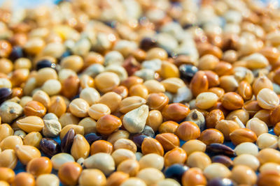 Full frame shot of seeds