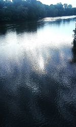 Reflection of trees in water