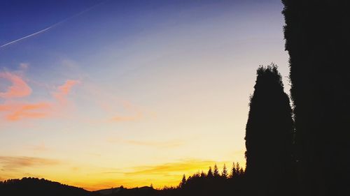 Silhouette trees against sky during sunset