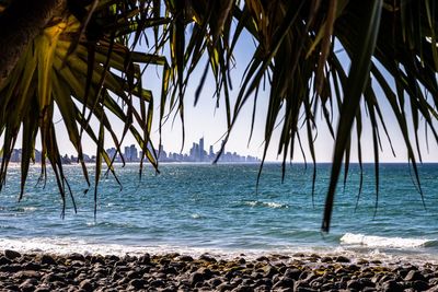 Palm trees on beach against sky