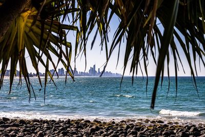 Palm trees on beach against sky