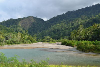 Scenic view of river in forest against sky