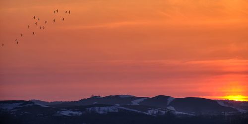 Silhouette birds on mountain against orange sky