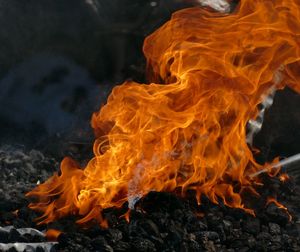 Close-up of bonfire on field