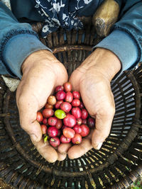 Coffee cup. coffee plantation. coffee beans background. coffee area landscape. lampung indonesia.