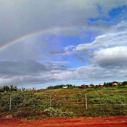 Scenic view of field against rainbow in sky