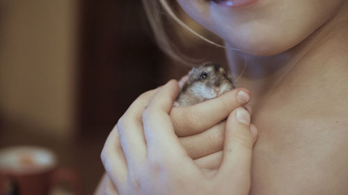 Cropped image of girl holding hamster at home