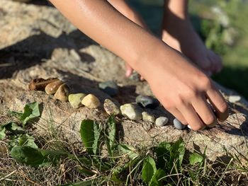 Close-up of hands on field