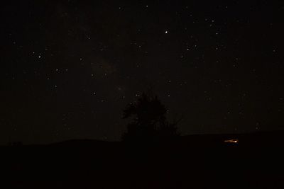 Low angle view of silhouette trees against sky at night