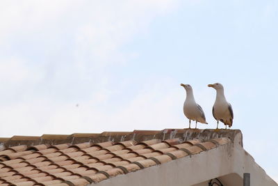 Birds perching on roof against sky