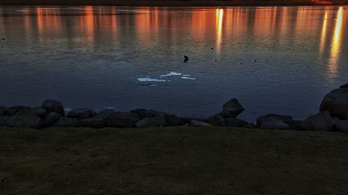 Birds in illuminated water against sky at sunset