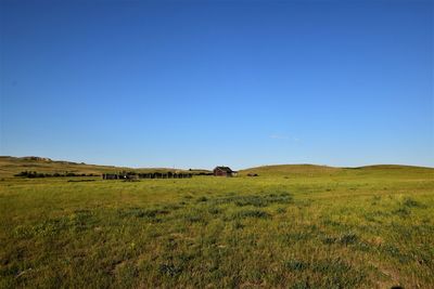 Scenic view of field against clear blue sky