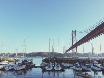 Boats in harbor against clear sky