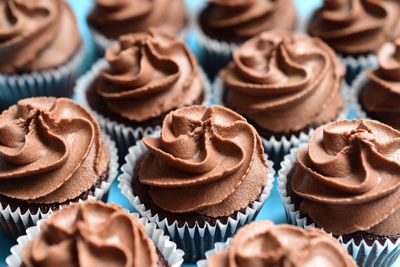 High angle view of cupcakes