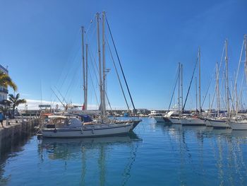 Sailboats in marina at harbor against clear blue sky