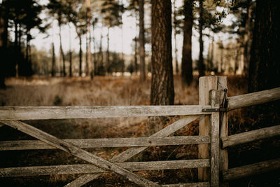 Fence on field