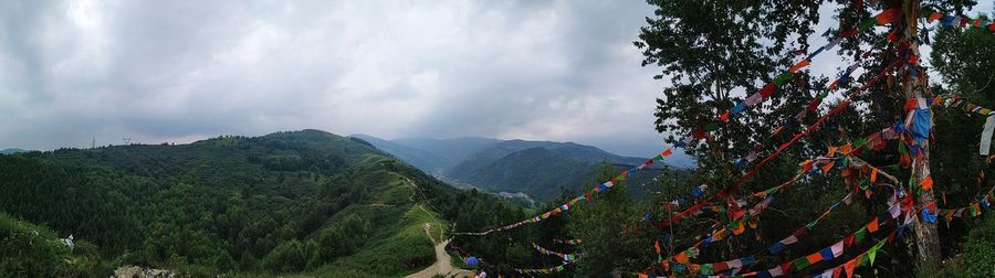 Panoramic view of trees and mountains against sky