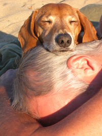 High angle view of man with dog relaxing on beach