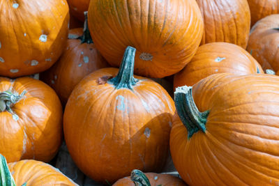 Full frame shot of pumpkins