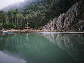 Reflection of trees in lake