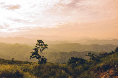 Scenic view of landscape against sky during sunset