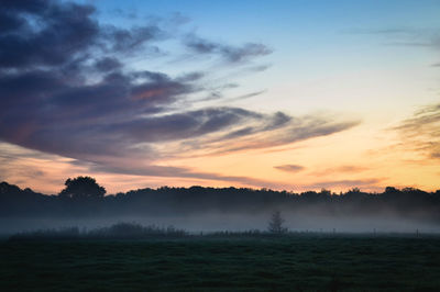 Silhouette trees on field against sky at sunset