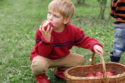 High angle view of cute baby boy holding basket