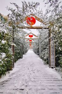 Road leading to snow covered plants