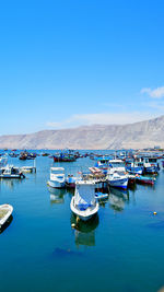 Boats moored in harbor