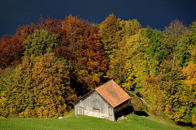 Tree against sky during autumn