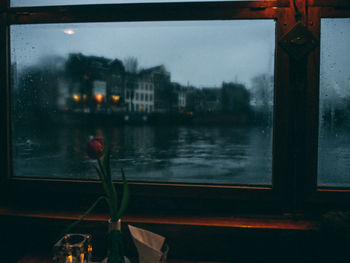 Close-up of flowers against window