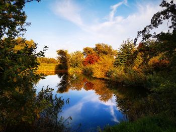 Reflection of trees in lake against sky during autumn