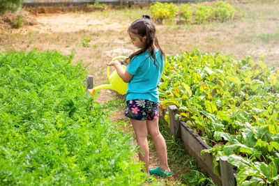 Little girl watering a green bed of yellow watering can, in the garden