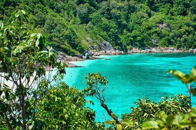 Scenic view of sea against trees