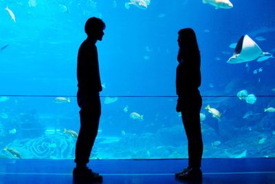 Fish swimming in aquarium