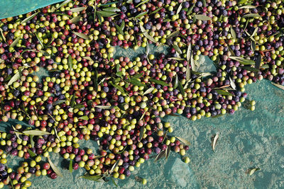 High angle view of fruits