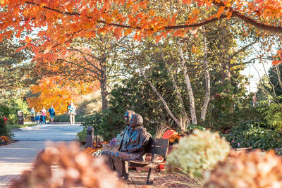 Man sitting on bench in park during autumn