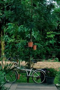 Bicycle by potted plants in garden