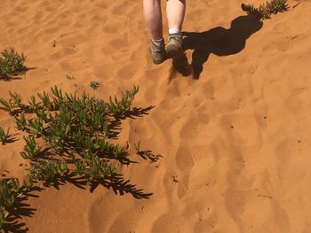 Low section of man standing on sand