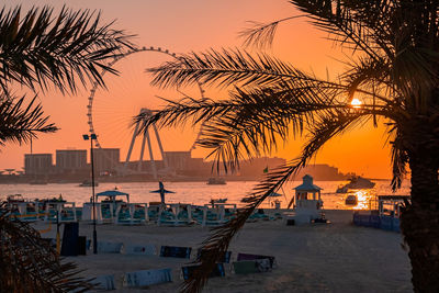 Ain dubai, the biggest ferris wheel in the world.