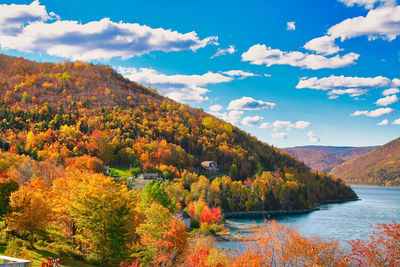 autumn